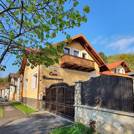 Casa Rasnoveana エクステリア 写真