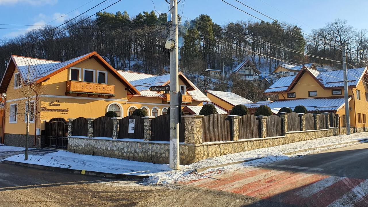 Casa Rasnoveana エクステリア 写真