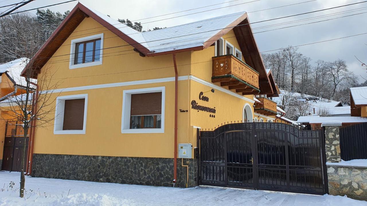 Casa Rasnoveana エクステリア 写真
